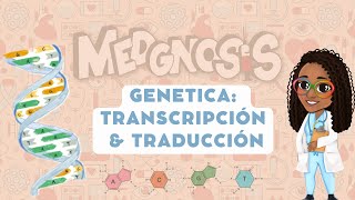 TRANSCRIPCIÓN Y TRADUCCIÓN DE ADN EN MENOS DE 5 MINUTOS‼️ [upl. by Mukund]