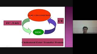 Lipoprotein Metabolism [upl. by Hnacogn]