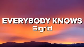 Sigrid  Everybody Knows Lyrics [upl. by Lyrad240]