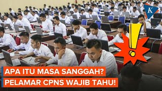 Catat Ini Masa Sanggah bagi Pelamar CPNS [upl. by Cira]