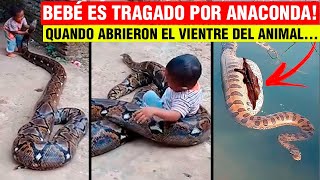 Bebé es TRAGADO por una anaconda pero cuando abren la barriga de la serpiente sucede lo inesperado [upl. by Arfihs]