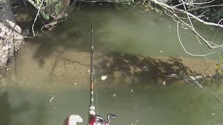 Flipping on the Nolichucky River  65 lb braid in the jungle [upl. by Rihsab]