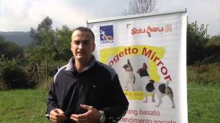 Progetto Mirror e Mirror Teach  video promozionale [upl. by Lehpar954]