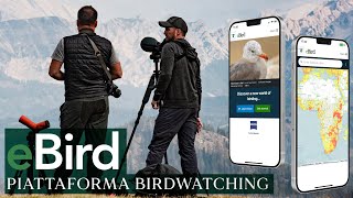 eBrid Italia  Come usare la piattaforma per il birdwatching [upl. by Neliak]