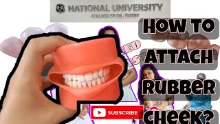 How to Attach Oral Cavity Cover on the Typodont  Rubber cheeks  Dentistry [upl. by Ahseinad746]