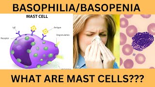 BASOPHILS NORMAL RANGE FUNCTIONSINCREASED BASOPHIL COUNT BASOPHILIABASOPENIAMAST CELLS [upl. by Cristy]