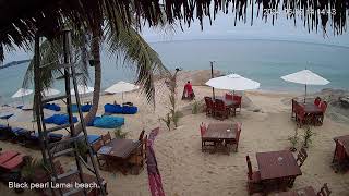 🐳 Live 247 🌴 Black pearl restaurant 🔴 Lamai  Koh Samui  Thailand  Live beach cam [upl. by Eli989]