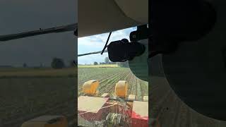 semina soia con mccormick e seminatrice matermacc shorts tractor agriculture [upl. by Icnan]