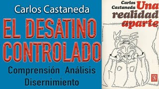 🧙‍♂️🙏 Carlos Castaneda EL DESATINO CONTROLADO Análisis  Una Realidad Aparte🙏 [upl. by Cassil121]