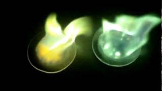 Copper Sulfate vs Boric Acid flame test [upl. by Idorb590]