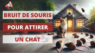 Bruit de souris pour attirer un chat 🐈 1 heure 🔊 Bruit de souris 🐁 Mouse Sound [upl. by Nyar647]