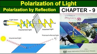 Polarization of Light  Brewster’s Law  Polarized Light  Class 11 physics  Study With ME [upl. by Annaeirb361]