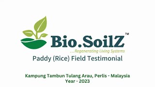 BioSoilZ Malaysia Perlis  Paddy Rice Crop  Field Trials and Farmer Testimonial [upl. by Frentz262]