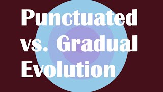 Punctuated Evolution vs Gradual Evolution Explained [upl. by Sirrom309]