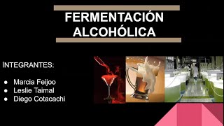 Seminario 2 Introducción a la fermentación alcohólica Grupo 3 [upl. by Yniatirb824]