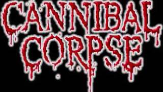 Cannibal Corpse  Demons Night [upl. by Shell]