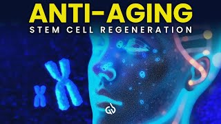 Stem Cell Regeneration Binaural Beats to Regenerate Your Telomeres AntiAging [upl. by Ardnal]