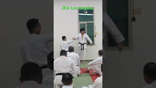 JKA Los Angeles  Tatsuya Naka sensei Heian Kata detail [upl. by Pillihpnhoj]