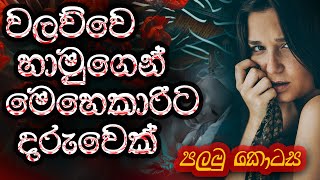 වලව්වෙ හාමුගෙන් මෙහෙකාරිට දරුවෙක්  සිංහල කෙටි කතාව  Sinhala Short Story SandaManThalawa [upl. by Adnof]