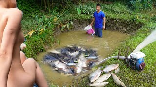 Video Fishing Technology  Cleverly use the pump to suck water in the wild lake Catch Many fish [upl. by Amathiste139]