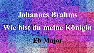 Wie bist du meine Königin by Johannes Brahms accompaniment in Eb Major [upl. by Andrew]