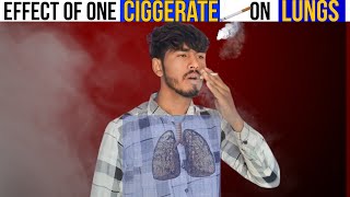 Ciggerate Experiment With Bottle  One Cigarette Smoking Effect Of Human Lungs [upl. by Ihel]