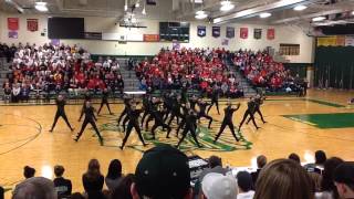 Faribault Dance Team 20142015 High Kick [upl. by Davies416]