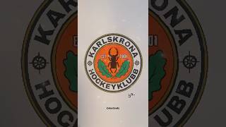 Karlskrona HK 🏒 karlskronahk khk karlskrona ishockey hockey fans måla foryou [upl. by Fairweather]