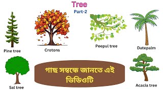 Part 2 বাংলা ও ইংরেজিতে বিভিন্ন গাছের নাম  Different tree names in Bengali and English [upl. by Siuqram470]