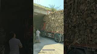 Process Of The Truck Loaded With Wood Passing Through The Bridge Opening [upl. by Reffinej577]