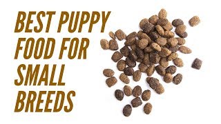 Best Puppy Food For Small Breeds – Picking The Right Dog Food Brand For Your New Dog [upl. by Elfrida887]