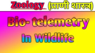 biotelemetry in Wildlife हिंदी नोट्स के साथ Zoology question biology [upl. by Pollak394]