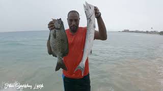 Omar Find Food  Spearfishing  Rainy Day in Jam🇯🇲 unedited [upl. by Casilda]