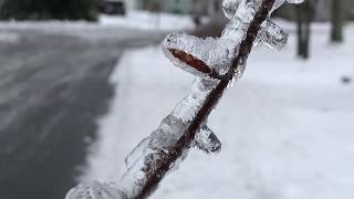 January 20 2019 ice storm in CT [upl. by Scoter]