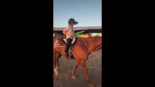 Legend Acres CHA Beginner Horseback Lessons [upl. by Hairam]