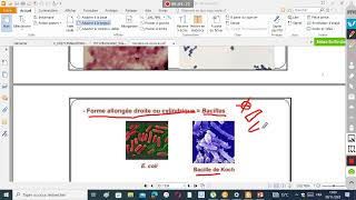 miCROBIOLGIE SVI BCG S3 partie 2 [upl. by Milzie96]