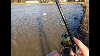 Stonkers on at Yarrambat Lake [upl. by Ocinemod]