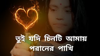 tui jodi chinti amay paraner pakhiতুই যদি চিন্তি আমায় পরানের পাখিbengali sad song [upl. by Areik]