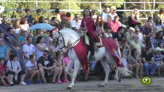 Espectáculo Ecuestre de Danza Histórica  Semana Renacentista 2018 Medina del Campo [upl. by Nikolai139]