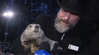 Groundhog Day 2024 on The Weather Channel [upl. by Ynaiffit723]