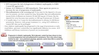 Learn With Me Diabetic Nephropathy Microalbuminuria Proteinuria [upl. by Burck643]