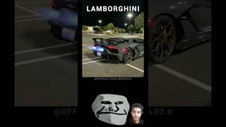 Lamborghini VS Super Cat 😎 viral super automobile car youtubeshorts trending [upl. by Aerdnaek]