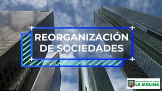 REORGANIZACIÓN DE SOCIEDADES [upl. by Cohlier]