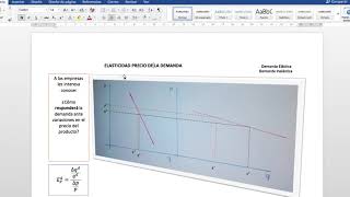 Elasticidad precio de la demanda [upl. by Ahtnamys942]