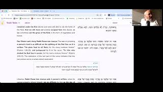 HOW TO BRING MIRACLES TO PARNASSAH  Talmud Pesachim 118a5  ערבי פסחים 244  Rabbi Levi Y New [upl. by Archambault]