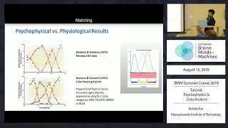 Tutorial Psychophysics and Data Analysis [upl. by Anom]