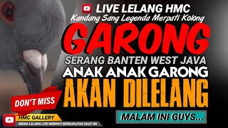 LIVE LELANG KANDANG GARONG TEAM AG SERANGMERPATI BARON OFFICIALNEW RAMPOKTJANBILLY [upl. by Sakmar]