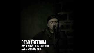 Way Down We Go by Kaleo Cover by Dead Freedom Live at Valhalla York [upl. by Mehalick]