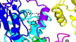 RING E3 ubiquitin ligase [upl. by Enerak175]