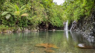 Fiji Taveuni  Lavena Coastal Walk [upl. by Daveen748]